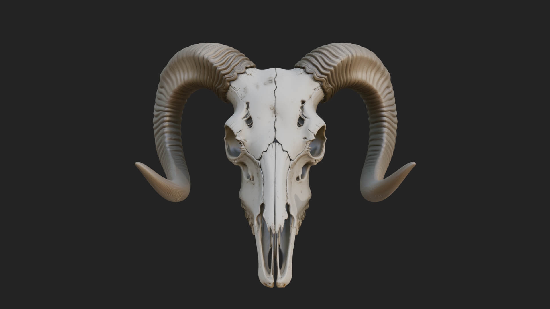 Ram Skull Wall Mount Design 9 3D Print Model 3D Model