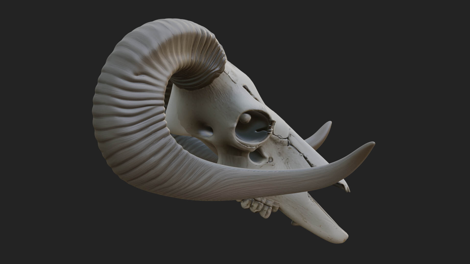 Ram Skull Wall Mount Design 9 3D Print Model 3D Model
