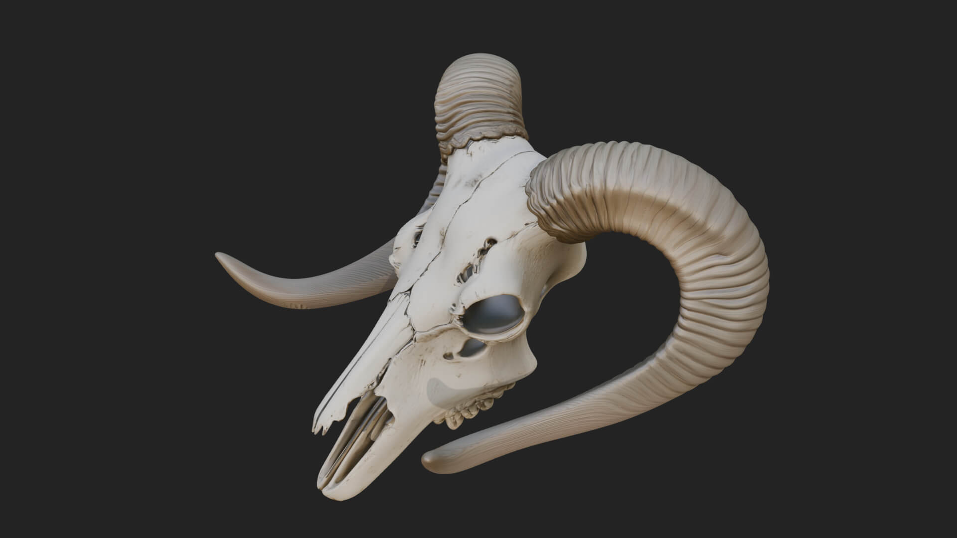 Ram Skull Wall Mount Design 9 3D Print Model 3D Model