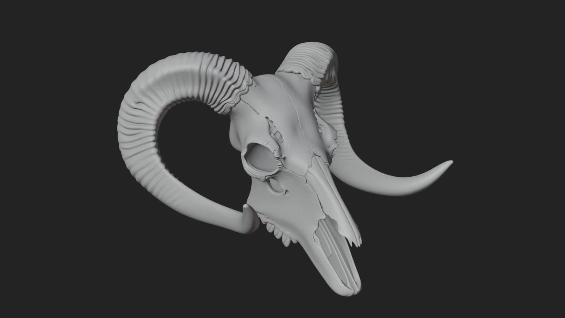 Ram Skull Wall Mount Design 9 3D Print Model 3D Model