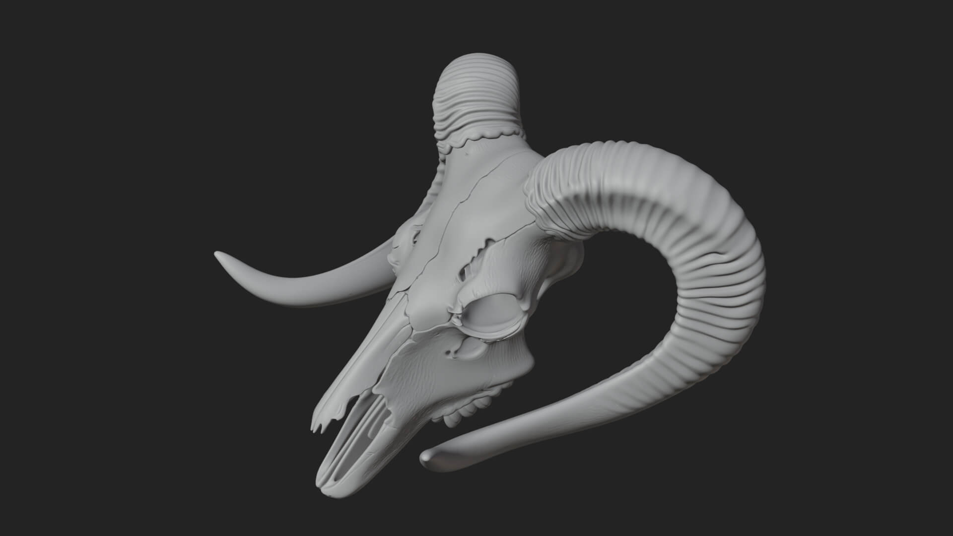 Ram Skull Wall Mount Design 9 3D Print Model 3D Model