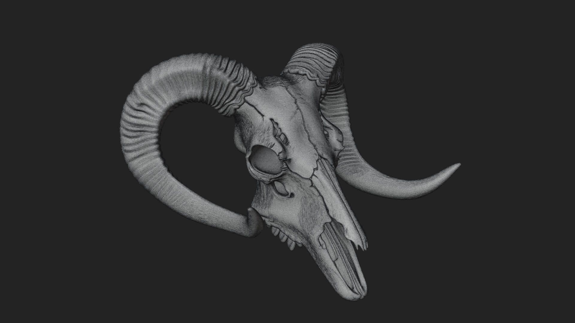 Ram Skull Wall Mount Design 9 3D Print Model 3D Model