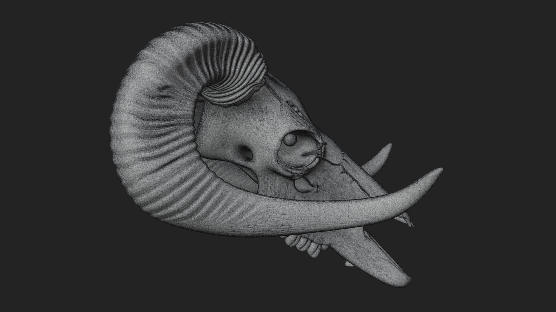 Ram Skull Wall Mount Design 9 3D Print Model 3D Model