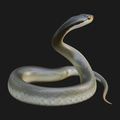 Rat Snake Statue Design 2 3D Print Model