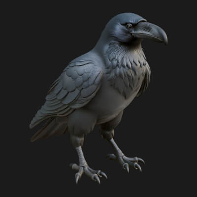 Raven Bird Statue Design 4 3D Print Model