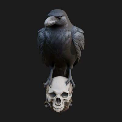 Raven on Skull Statue Design 2 3D Print Model