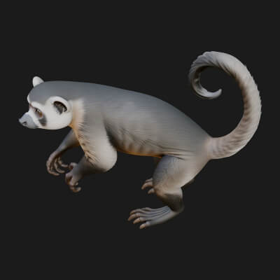 Ring-Tailed Lemur Statue Design 1 3D Print Model