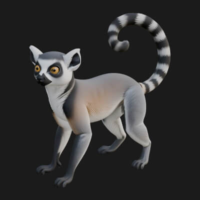 Ring-Tailed Lemur Statue Design 2 3D Print Model