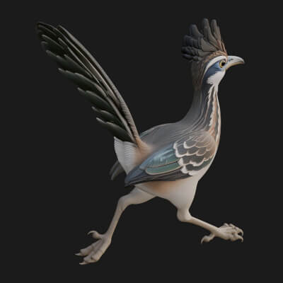Roadrunner Bird Statue Design 3 3D Print Model