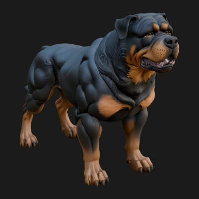 Rottweiler Dog Statue Design 1 3D Print Model