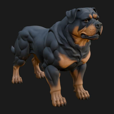Rottweiler Dog Statue Design 3 3D Print Model