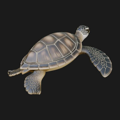 Sea Turtle Statue Design 5 3d Print Model