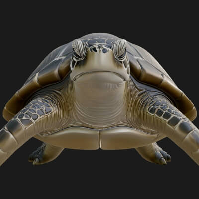 Sea Turtle Statue Design 7 3D Print Model