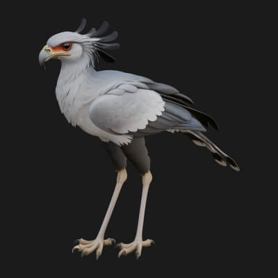 Secretary Bird Statue Design 4 3D Print Model