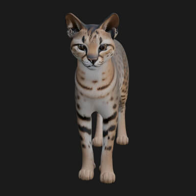 Serval Cat Statue Design 11 3D Print Model