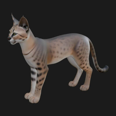 Serval Cat Statue Design 7 3D Print Model