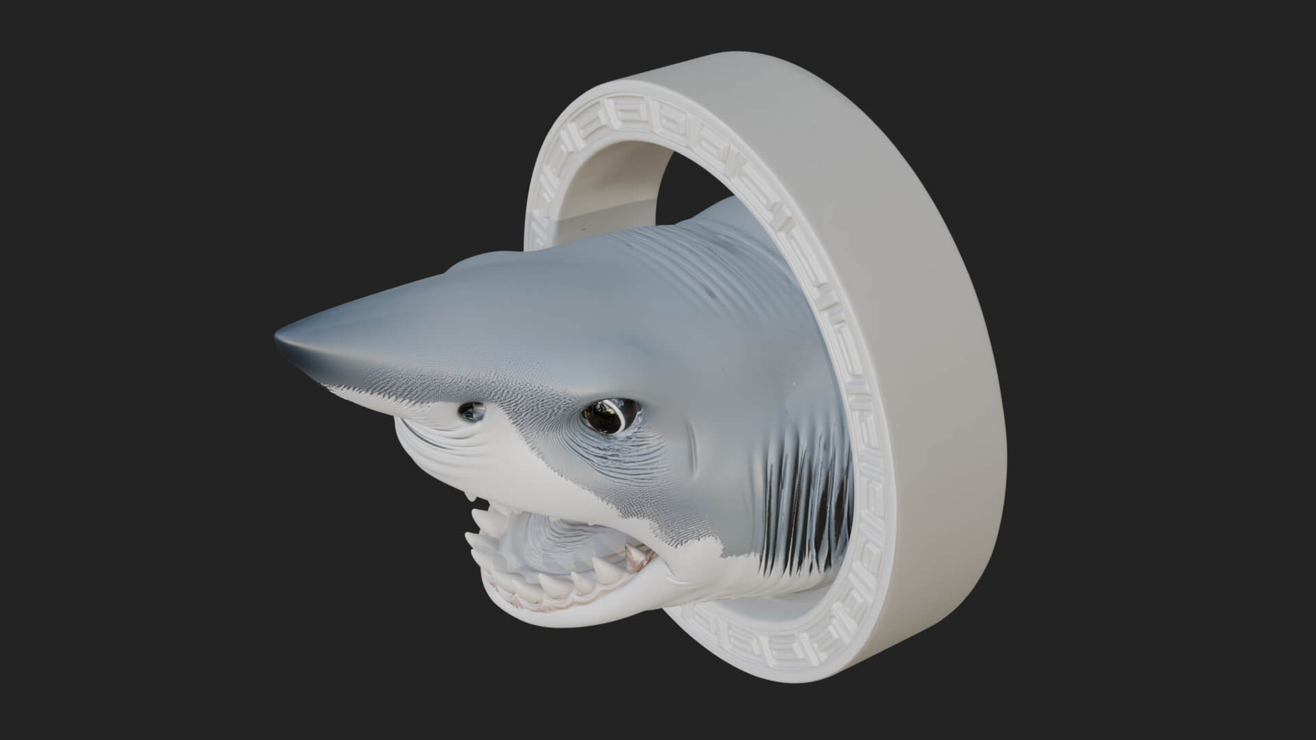 Shark Head Oval Relief Plaque Design 4 3D Print Model 3D Model