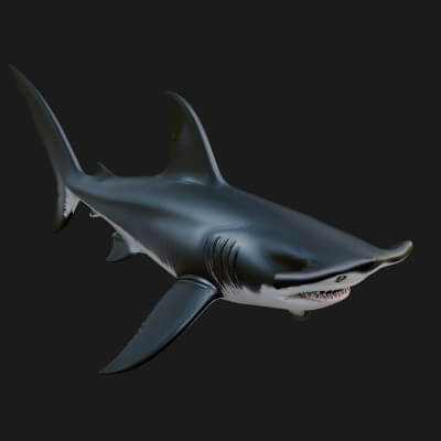 Shark Statue Design 1 3D Print Model