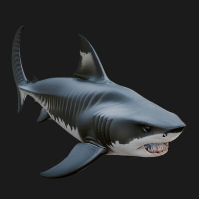 Shark Statue Design 13 3D Print Model