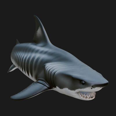 Shark Statue Design 14 3D Print Model