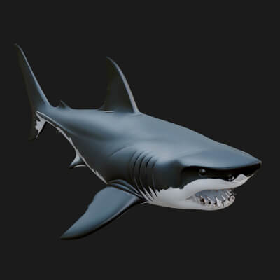 Shark Statue Design 15 3D Print Model