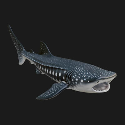 Shark Statue Design 16 3D Print Model