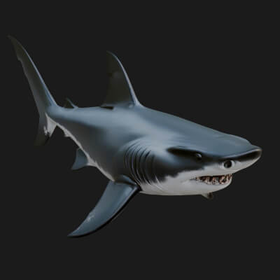 Shark Statue Design 2 3D Print Model