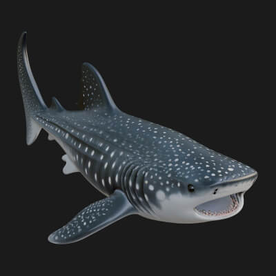 Shark Statue Design 3 3D Print Model