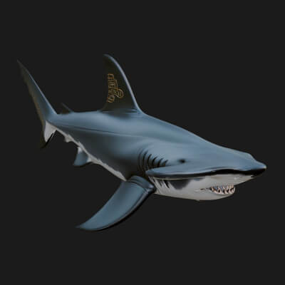 Shark Statue Design 5 3D Print Model