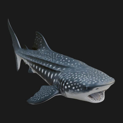 Shark Statue Design 7 3D Print Model