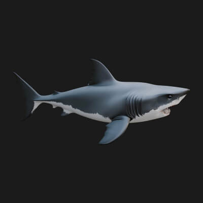Shark Statue Design 8 3D Print Model
