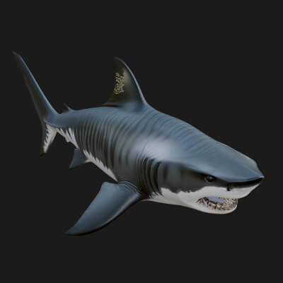 Shark Statue Design 9 3D Print Model