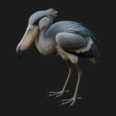 Shoebill Bird Statue Design 1 3D Print Model