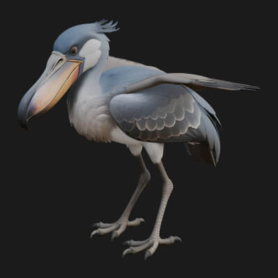 Shoebill Bird Statue Design 2 3D Print Model