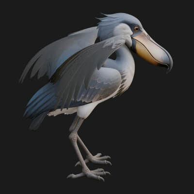 Shoebill Bird Statue Design 4 3D Print Model