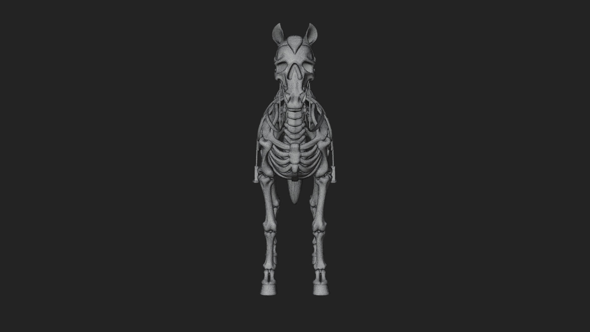 Skeleton Horse Statue Design 1 3D Print Model 3D Model