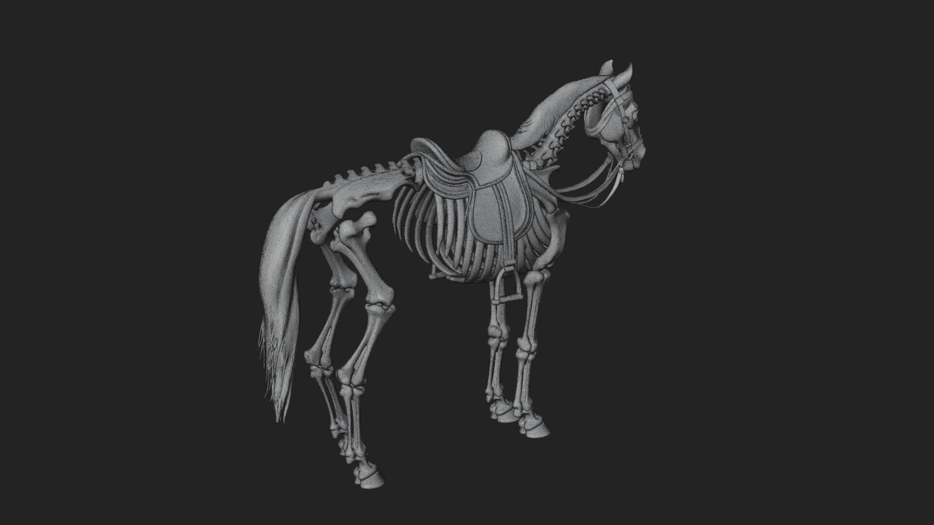 Skeleton Horse Statue Design 3 3D Print Model 3D Model