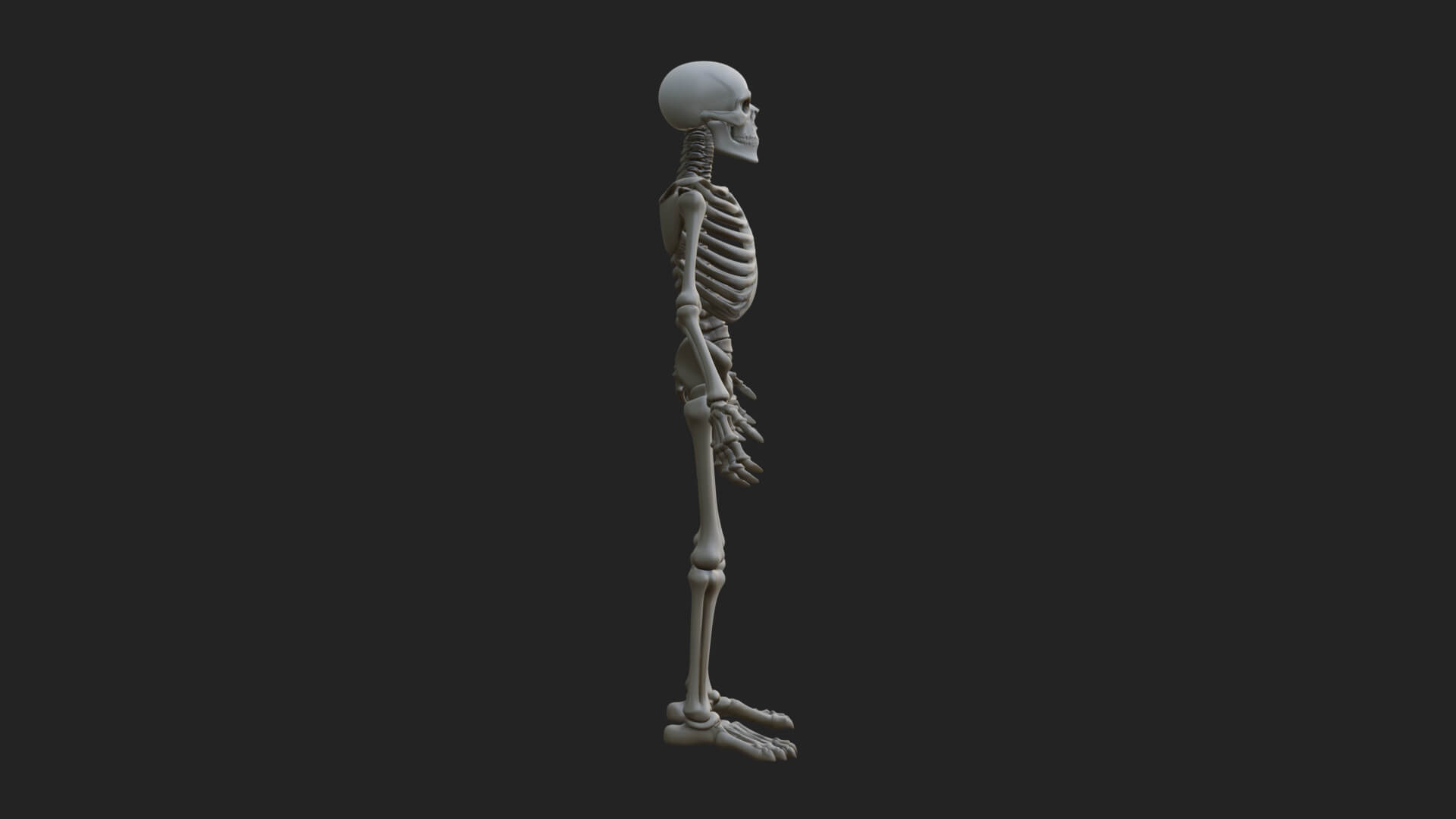 Skeleton Warrior Statue Design 10 3D Print Model 3D Model