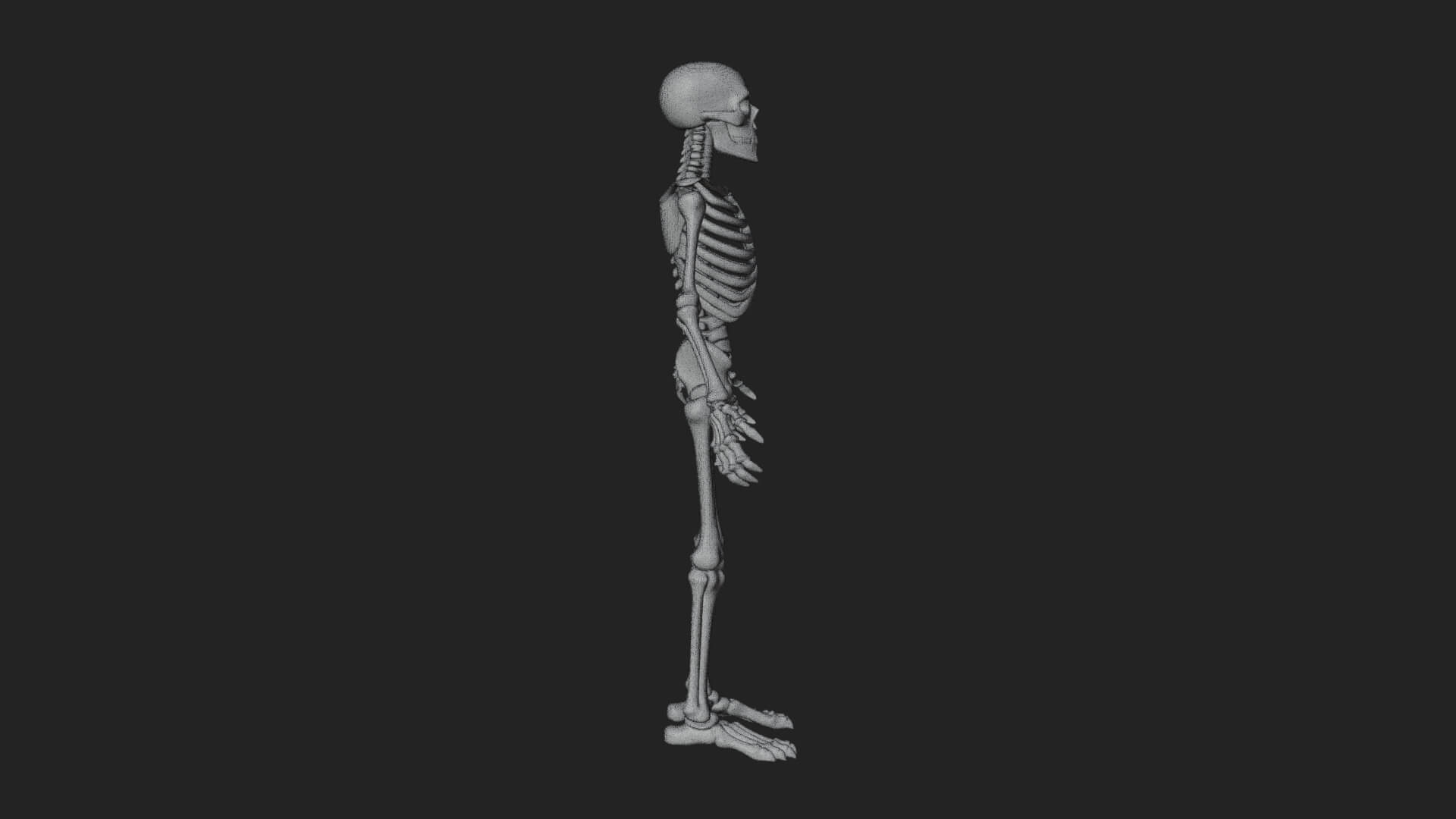 Skeleton Warrior Statue Design 10 3D Print Model 3D Model