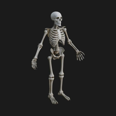 Skeleton Warrior Statue Design 10 3D Print Model