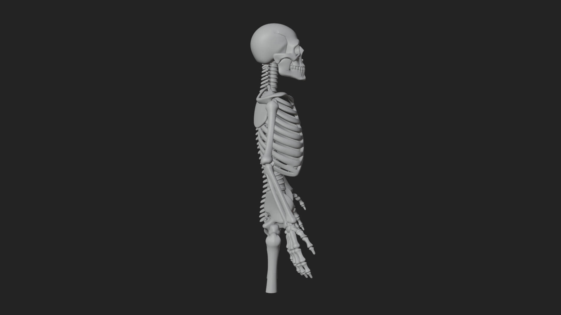 Skeleton Warrior Statue Design 11 3D Print Model 3D Model