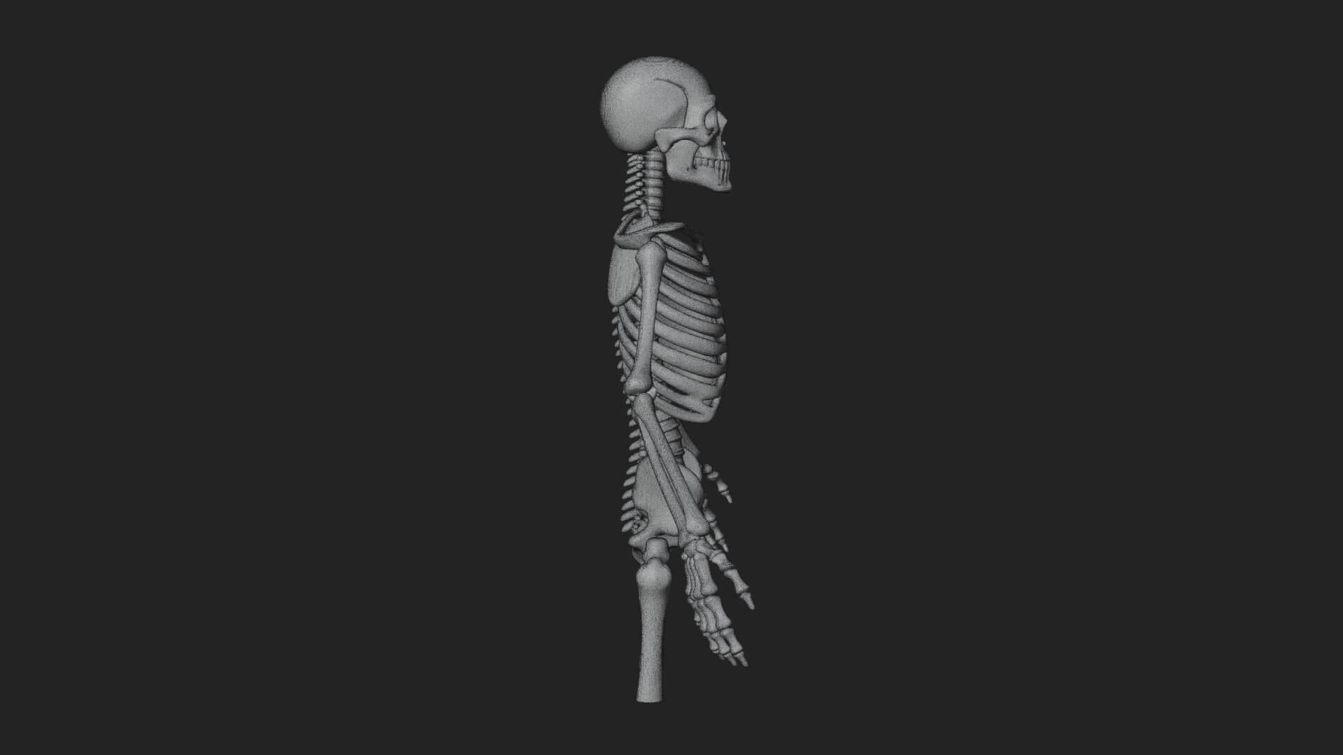 Skeleton Warrior Statue Design 11 3D Print Model 3D Model