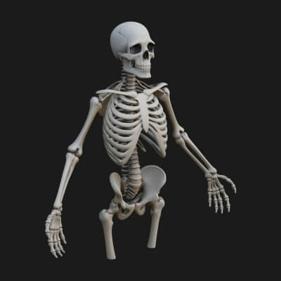 Skeleton Warrior Statue Design 11 3D Print Model