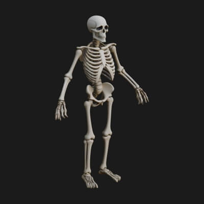 Skeleton Warrior Statue Design 13 3D Print Model