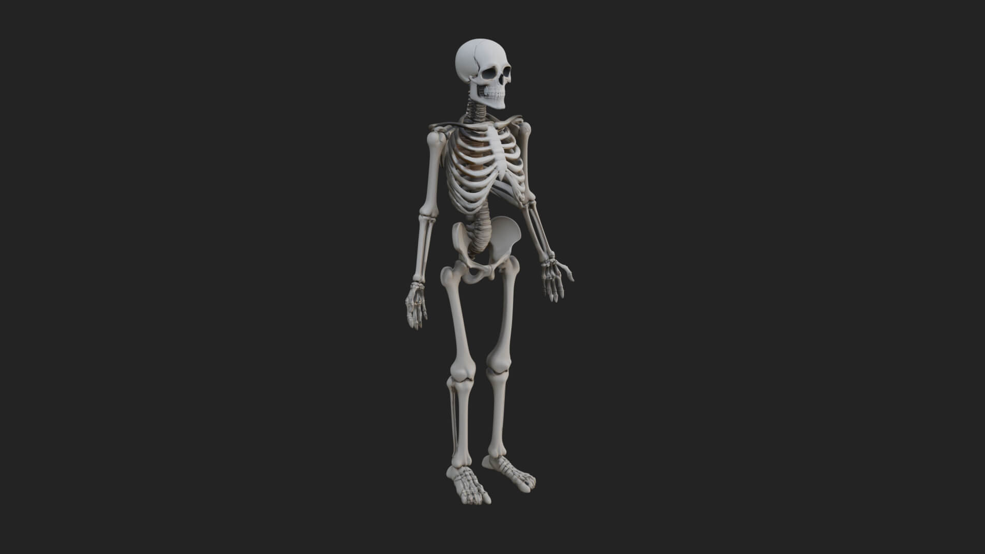 Skeleton Warrior Statue Design 18 3D Print Model 3D Model