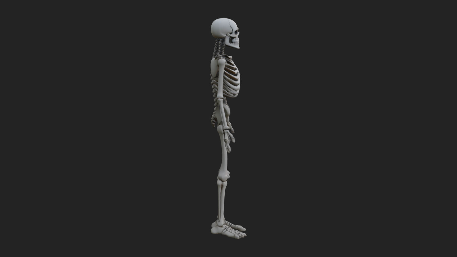 Skeleton Warrior Statue Design 18 3D Print Model 3D Model