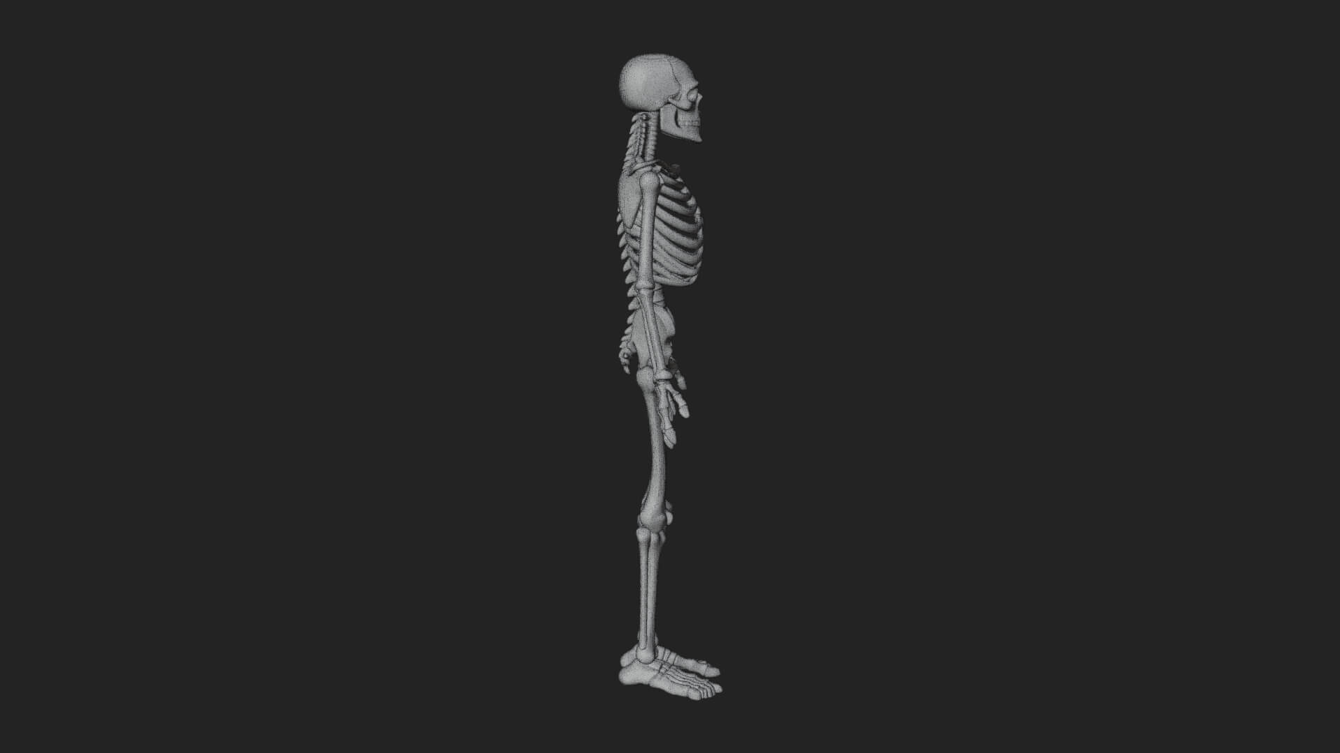 Skeleton Warrior Statue Design 18 3D Print Model 3D Model