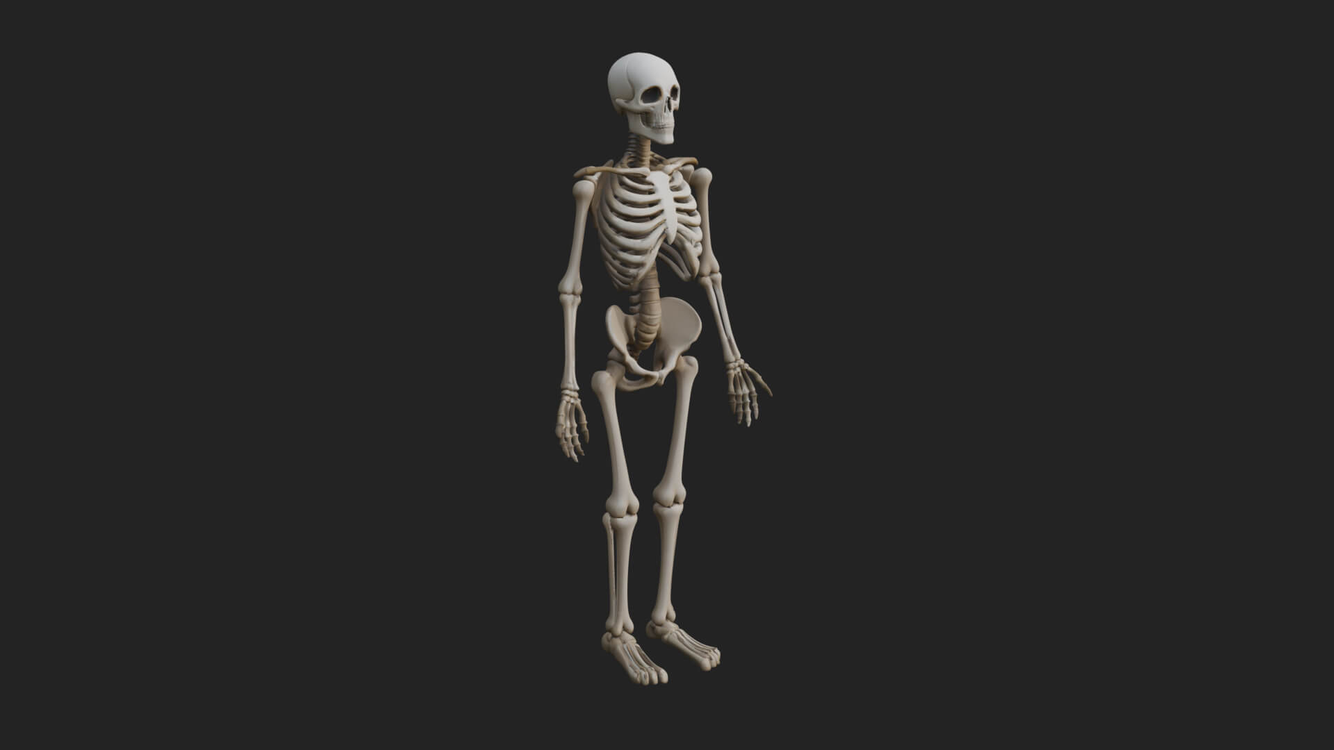 Skeleton Warrior Statue Design 19 3D Print Model 3D Model