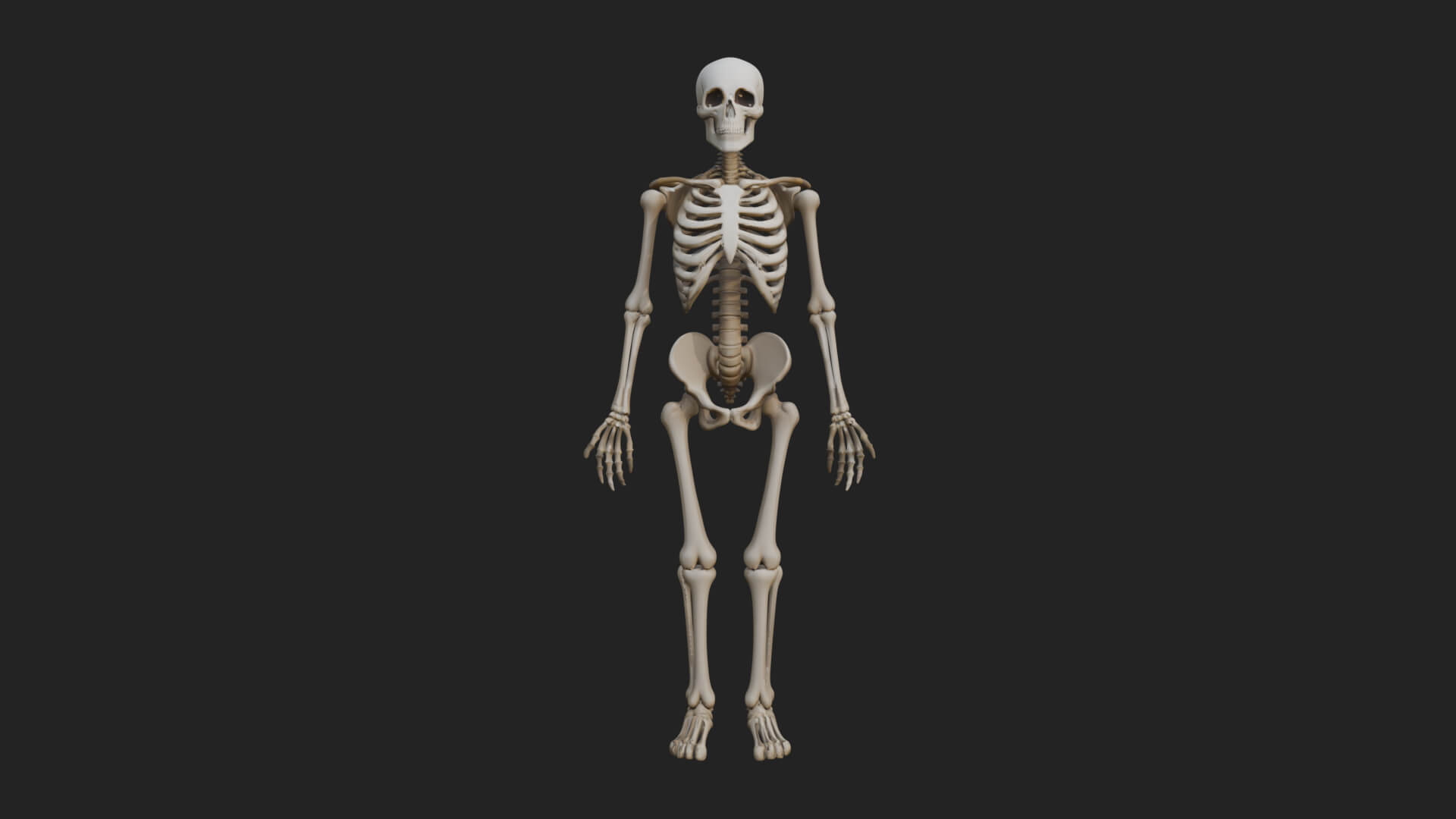 Skeleton Warrior Statue Design 19 3D Print Model 3D Model