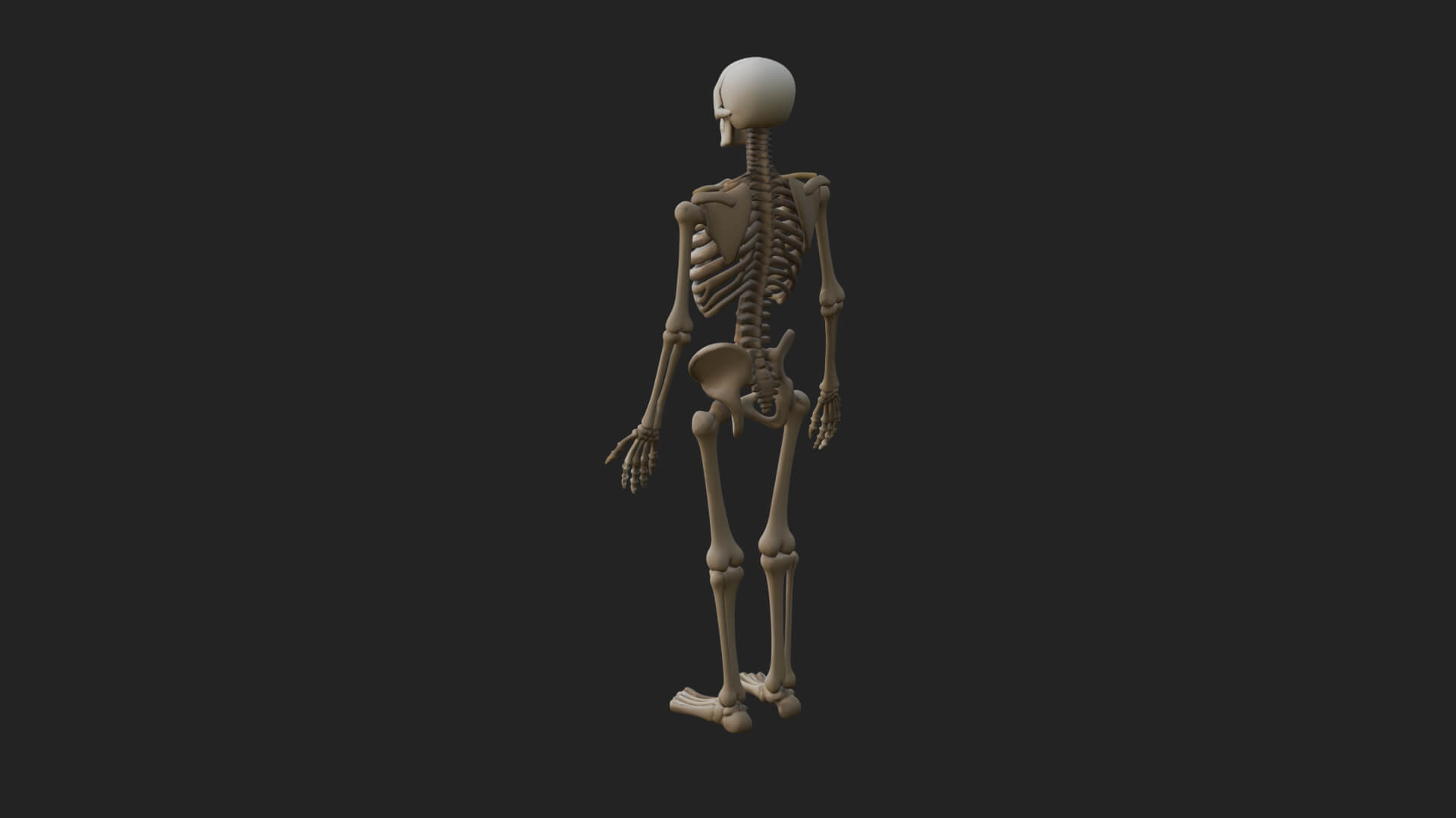Skeleton Warrior Statue Design 19 3D Print Model 3D Model